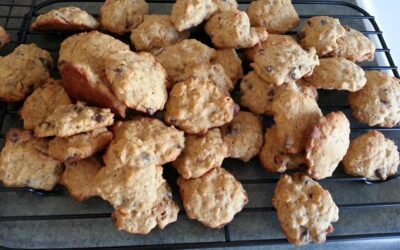 Lactation Cookies Doing the Doula Style