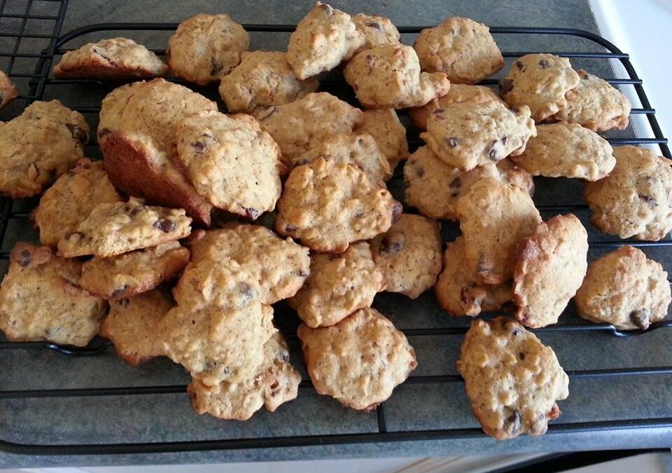 Lactation Cookies Doing the Doula Style